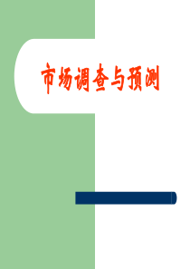 服装市场调查 1