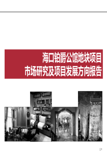 海口商业市场调研及定位报告