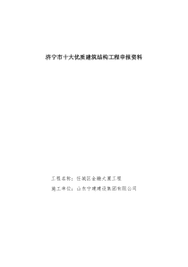 十大优质结构工程申请表