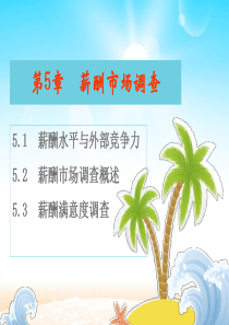 第5章薪酬市场调查