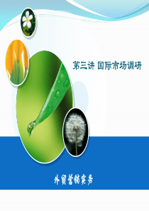 第三讲国际市场调研
