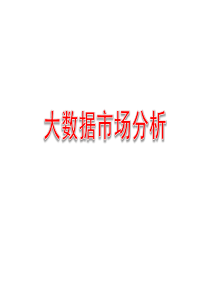 大数据市场分析28