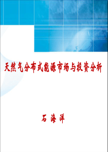 天然气分布式能源市场与投资分析