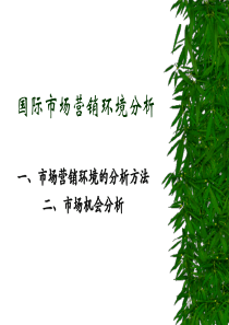 学习情境二-工作项目三国际市场营销环境分析