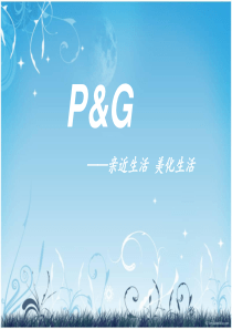 宝洁市场营销案例分析
