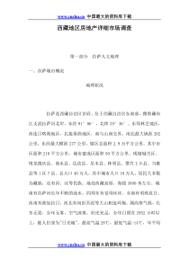 西藏地区房地产详细市场调查doc91