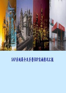 SAP系统简介及齐鲁ERP实施情况汇报