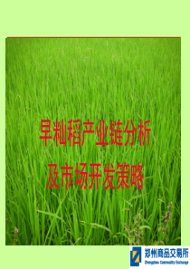 早籼稻产业链分析及市场开发策略--魏振祥