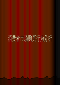 消费者市场购买行为分析