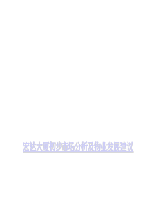 深圳XX大厦前期报告--XX大厦初步市场分析及物业发展建议(ppt 44)