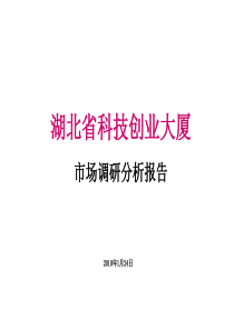 湖北省科技创业大厦市场调研分析_98页
