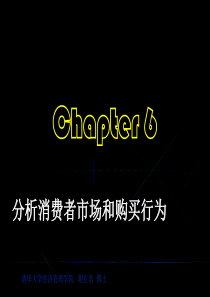 第6章分析消费者市场和购买行为