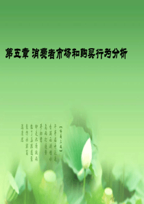 第五章消费者市场和购买行为分析
