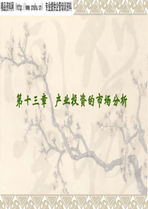 第13章_产业投资的市场分析