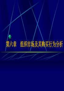 第六章 组织市场及其购买行为分析