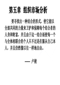 组织市场分析XXXX