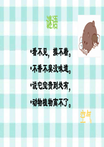 三年级上册科学《认识空气》PPT