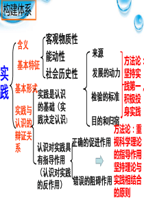 2017在实践中追求和发展真理课件