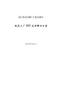 XX集团ERP方案分报告