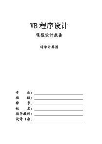VB程序设计实训报告