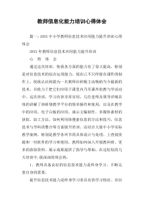 教师信息化能力培训心得体会