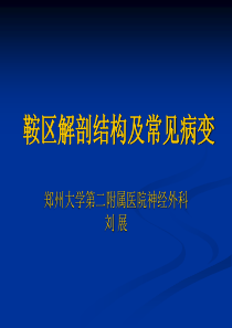 鞍区解剖结构以及常见病变