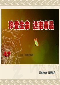 《远离毒品-珍爱生命》-PPT课件