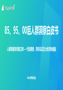 85、95、00后人群洞察白皮书