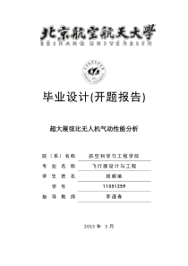 北航毕业设计(开题报告)我的