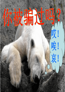 关于诈骗的PPT