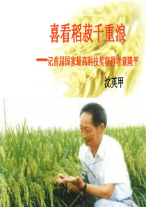 《喜看稻菽千重浪》解析