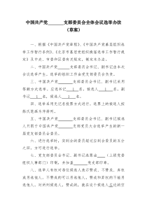 支部委员会全体会议选举办法
