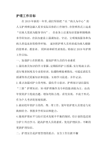 护理工作目标-范文