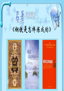 《钢铁是怎样炼成的》ppt课件