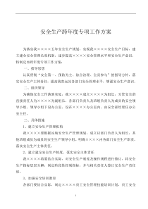 跨年度专项工作方案