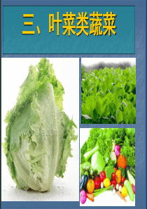 叶-菜-类-蔬-菜