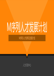M序列人才发展计划解析