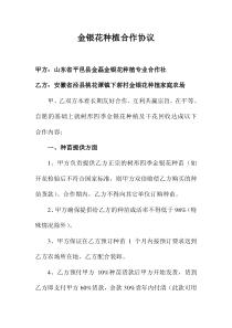 金银花种植合作协议