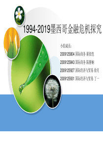 墨西哥金融危机-精品文档