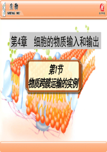 《物质跨膜运输的实例》PPT课件