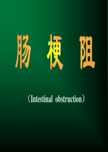 肠梗阻-教学课件-PPT