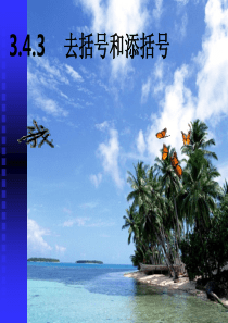 去括号与添括号