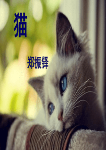 2017人教版郑振铎《猫》