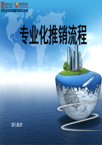 专业化推销流程70777930