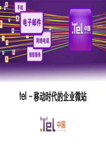 tel网络名片市场及营销建议(标准)V11