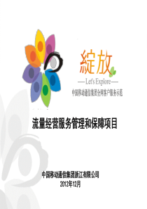 1-浙江-流量经营的服务管理和保障项目