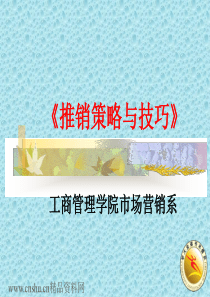 推销策略与技巧（PPT 101页）