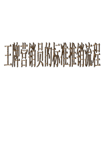 标准推销流程主要