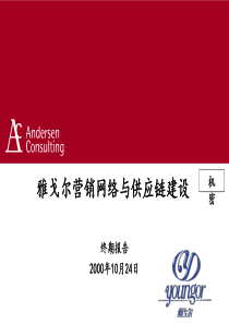 安盛－雅戈尔营销网络与供应链建设