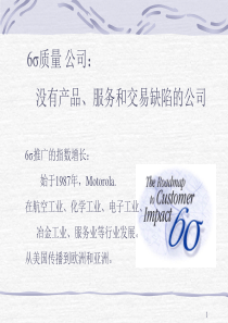 6SIGMA--没有产品服务和交易缺陷的公司（PPT 72页）